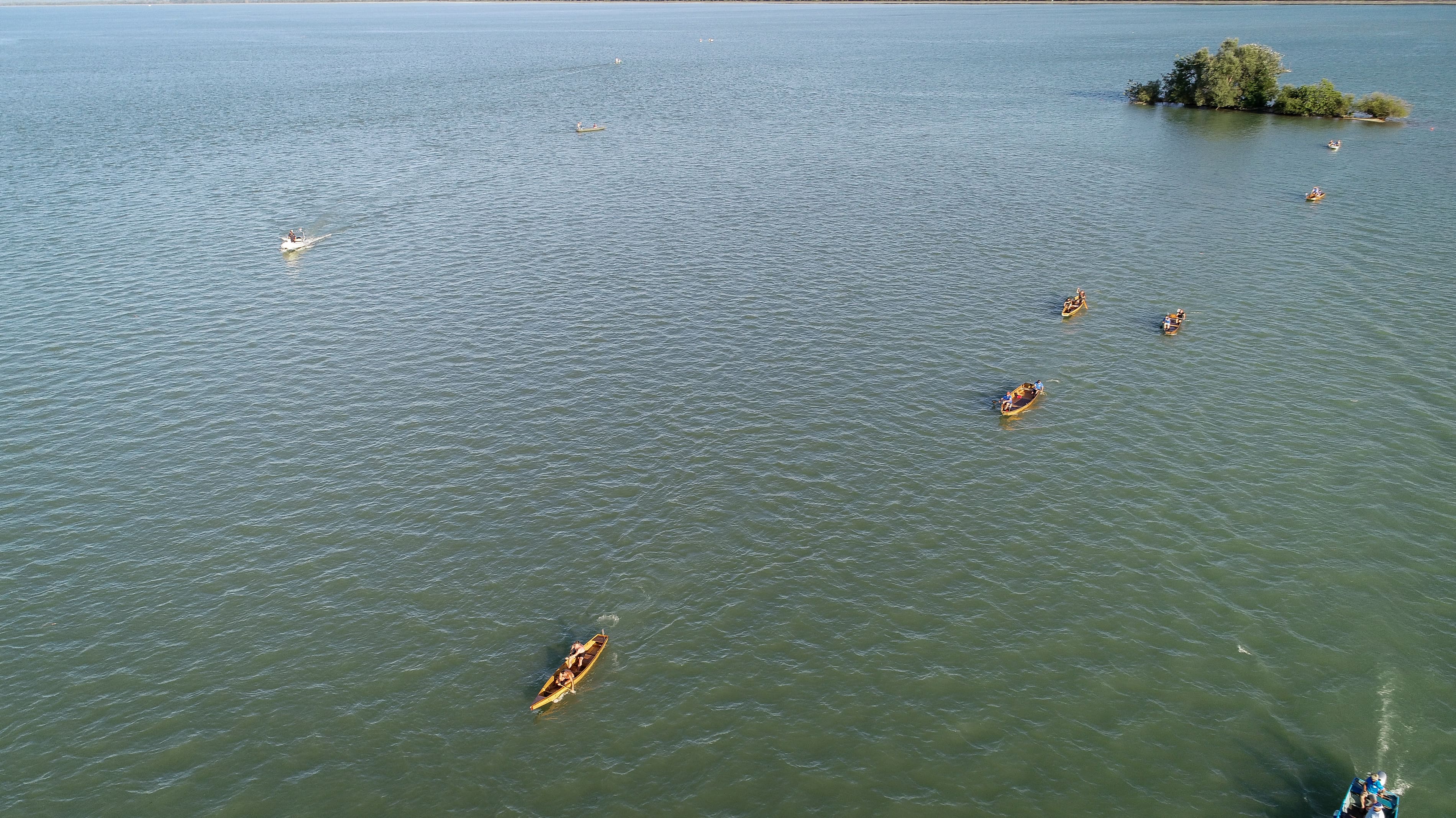 LOV NA LABUĐE PERO 2024.